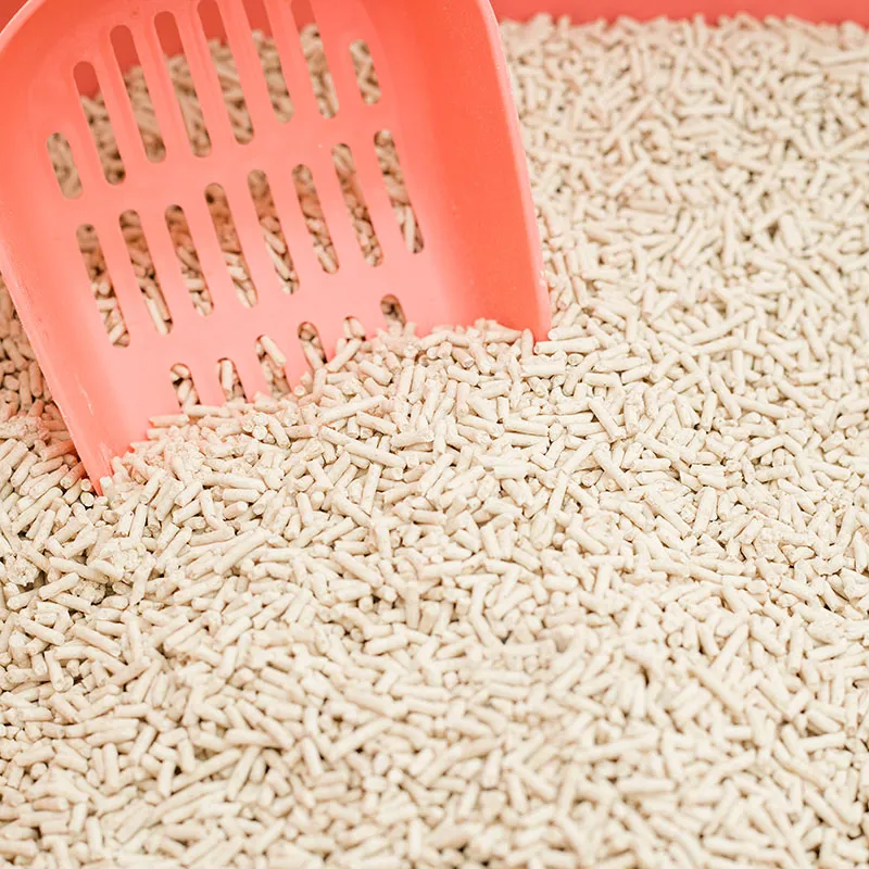 Cat Litter